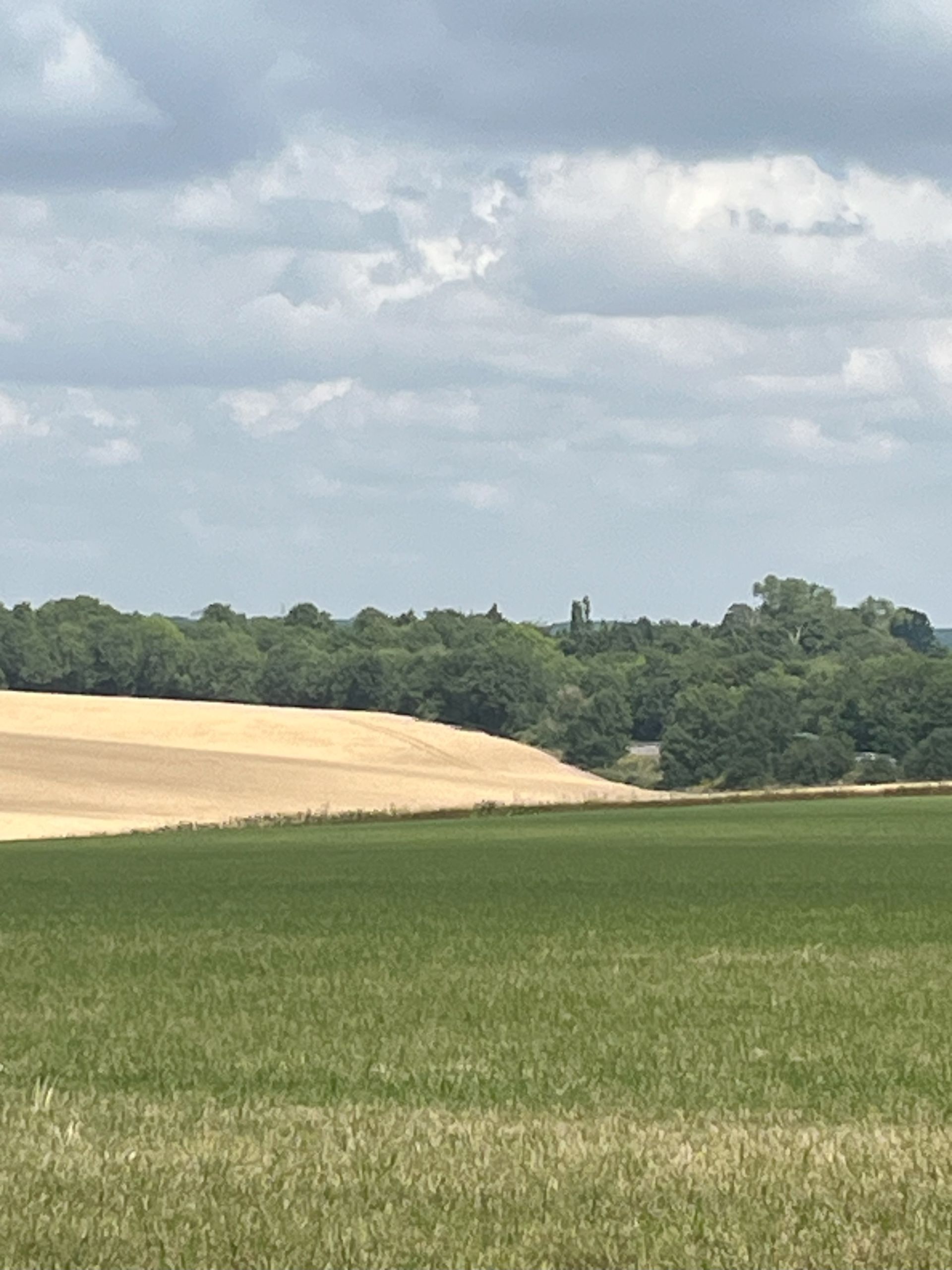 Rabley Heath